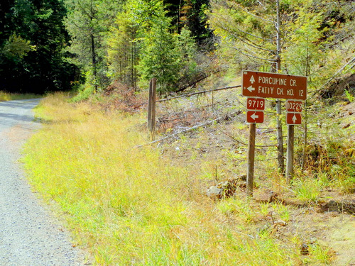 We need to head for Fatty Creek Road.